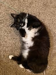 Check spelling or type a new query. Cztid7o4qiuzpm