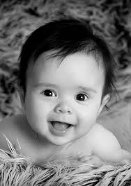 Get inspired with the MPA at Loxley Colour