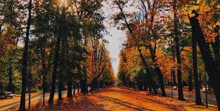 Colecție de la dumitrescu ioana. Clujul In 13 Fotografii De Octombrie RetrospectivÄƒ Foto