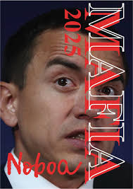 IC I Una nueva polémica ha estallado en el ámbito político nacional, luego  de que se revelara el decreto presidencial que autoriza el desplazamiento  de una comitiva oficial para acompañar al presidente