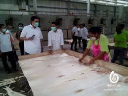 Check spelling or type a new query. Direktur Perhutani Benahi Industri Plywood Sengon Nusakini