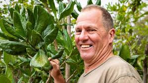 Hundertwasser Art Centre in Whangārei 'unlike any other in the world'