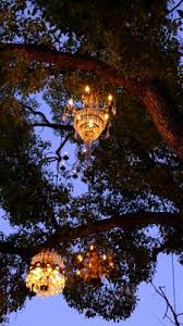 Maybe you would like to learn more about one of these? Chandelier Tree Closed 509 Photos 183 Reviews Public Art 2811 W Silverlake Dr Los Angeles Ca United States Yelp