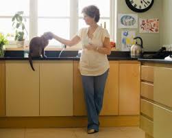 cats with kidney disease