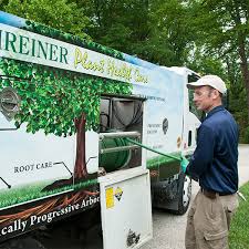All around tree care is the number one expert in tree care for the temple, killeen, and belton areas. Our Services Tree Removal Trimming Health Care And Landscaping