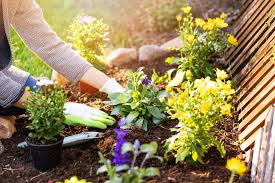 Notching, or hollowing out the inside works as the perfect natural planter. What To Plant In Your Garden A Month By Month Guide