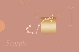An astrologer reveals scorpio's erogenous zones, because this scorpion. The 10th House In Astrology Can Provide Clutch Career Intel Well Good