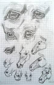 Horse Eye Artist Muhittin Budak Horse Drawings Horse Art Eye Painting