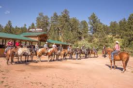 Pokagon state park is the natural gem of steuben county, indiana, nestled on the scenic shores of lake james. Horseback Riding Dinner Show At Mt Rushmore Horseback Riding Trail Rides