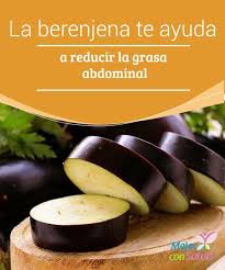 la berenjena te ayuda a reducir la grasa abdominal mejor con salud grasa abdominal te para bajar de peso berenjena para adelgazar