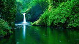 Maybe you would like to learn more about one of these? Cool Nature Desktop Backgrounds Wallpaper Cave