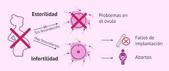 Que Causa La Esterilidad Femenina Sintomas Y Tratamientos
