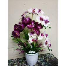 Tak kisah la bunga ros ke, bunga lily ke, bunga orkid ke, bunga tulip ke pelbagai variasi jenis dan warna bunga orkid ( juga dikenali sebagai bunga anggerik) kredit : Bunga Orkid Hiasan Murah Shopee Malaysia