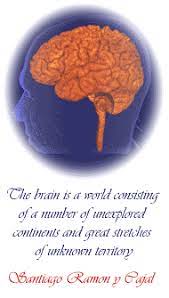 Neuroscience For Kids - Another Day, Another Neuron