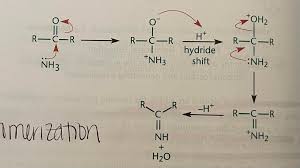 Organic Chemistry - Can Hydride Shift And Methyl Shift Happen One After  Another In A Carbocation? - Chemistry Stack Exchange