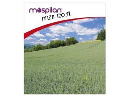 Image result for mospilan prodej