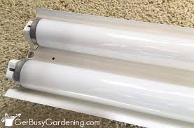 Your tomato seedlings are turning yellow Lighting For Seedlings A Beginner S Guide To Grow Lights For Seedlings