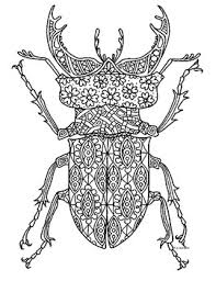 Six legged beetle coloring pages to color, print and download for free along with bunch of favorite beetle coloring page for kids. Stag Beetle Insect Zentangle Coloring Page By Pamela Kennedy Tpt