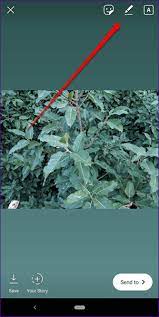 If you want a solid background, pick the first. How To Add Color Block To Instagram Story And Other Tips