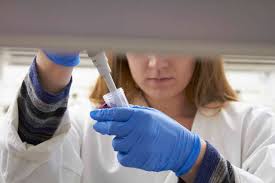 Center for Health Outcomes Research and Education