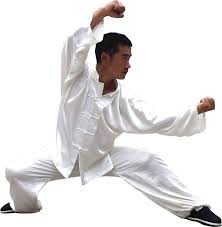 My teacher told me that the style has nothing to do with the insect at all. Weihai Kung Fu Academy