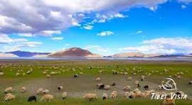 15 Pictures of Tibetan Plateau: Get Your First Impression of ...