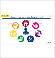 Image result for Psychological First Aid