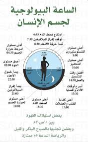 Pin By Ahmad Adly Sayed On منوعات Health Fitness Nutrition Health And Fitness Expo Health Facts Food