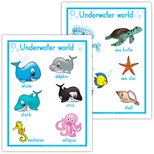 Affiches En Anglais Underwater World Theme Marin Maternelle Imagier Animaux Animaux De La Mer