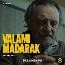 Valami Madarak/Some Birds