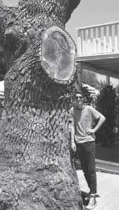 Historical society names winners of scholarship essay contest