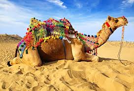 Yeele 7x5ft Camel Desert Backdrop Dune Blue Skies White Cloud Dry Sands Caravan Background For Photography Adult Photo Booth Youtube Video Shoot Vinyl Studio Props Wantitall