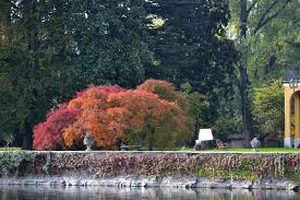 Flights to annone di brianza. Villa Annone Villas In Annone Brianza To Rent Ville In Italia