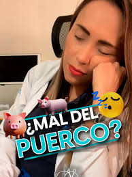 Desventajas De Comer Cerdo