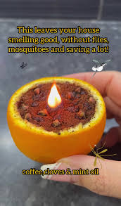 how to make a flaming alcohol orange clove mosquito repellent