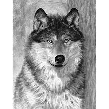 His super shreds cover and extends the bullet barrage! Drink Water Parasite Polar Bear Colt Alb In Creion Dsgraphicsmumbai Com
