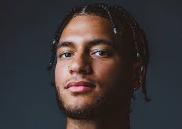 Qui joue dans la série Complètement Lycée?