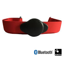 Sırala tarihe göre fiyata gore artan fiyata gore azalan ürün adına göre satış adedine göre. Nabiz Monitoru Gogus Kemeri Bandi Bluetooth Ant Ant Spor Spor Kalp Hizi Sensoru Kemer Uyumlu Garmin Bryton Wahoo Polar Outdoor Fitness Equipment Aliexpress