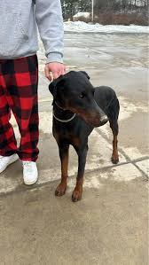 Let's welcome our new members! Rafael Milán, Jeannie Williard, Susan Long,  Debbie Catlett, Kaka Malik, Marcus Tenny, Vicki Shaffer, Lebogang Kau,  ចានធឿន ពោធិសាត់, Ray Gara, Evie Evidently, Robin Schiel