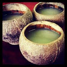 Have A Kava Party Kava Kava Tea Herbalism