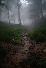 Lost In The Woods Null Lost In The Woods Scenery Dark Beauty