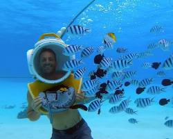 Snorkeling and diving in Bora Bora