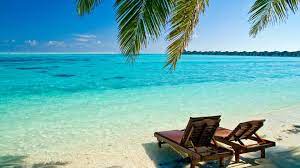 We did not find results for: Summer Beach Desktop Wallpapers 4k Hd Summer Beach Desktop Backgrounds On Wallpaperbat