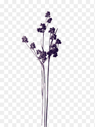 Segnalibri fiori secchi riciclo fiori segnalibri di carta fatto a mano carte fatte a mano immagini easy dollar store clothespin planter diy. Fiori S Viola Secco Clipart Essiccate Png Pngegg