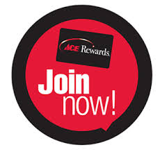 On the street of north main street and street number is 210. Rug Doctor Ace Of Adams Ace Hardware Rental Adams Friendship Wi Free Ship To Store Pickup Delivery In Adams County Wisconsin Ace Hardware Rental Of Adams