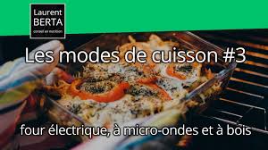 Les Modes De Cuisson 3 Four Electrique Four A Micro Ondes Four A Bois Mode De Cuisson Micro Onde Four Electrique