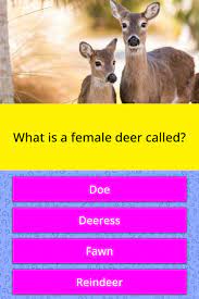 Whose ghost was allegedly seen in the white house? What Is A Female Deer Called Trivia Answers Quizzclub