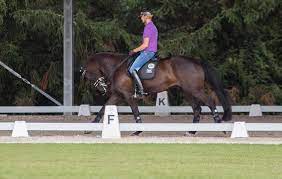 He was an actor, known for buck privates come home (1947), in old chicago (1938) and oh, johnny, how you can love! Die Europameisterschaft Dressursport Am Scheideweg Und Totilas In Rente Dressur Studien