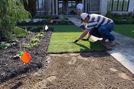 Aug 26, 2020 · sod prices range from $0.30 to $0.80 per square foot, or between $120 and $280 per pallet, depending on the variety of grass. How Long Does It Take To Install Sod Planning Ahead Is Key