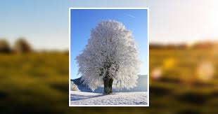 George S. Wagers Obituary December 3, 2021